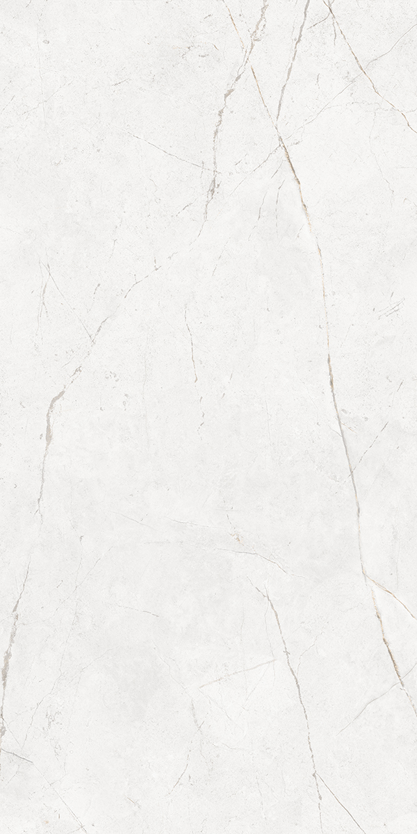 Керамогранит NL00 60x120x9 Полир. (Керамический гранит) #8