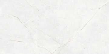 Керамогранит  NL02 60x60x10 Непол.Рект. (Керамический гранит) _7