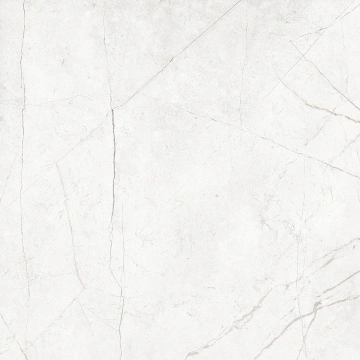 Керамогранит NL00 60x60x9 Непол.Рект. (Керамический гранит)_3
