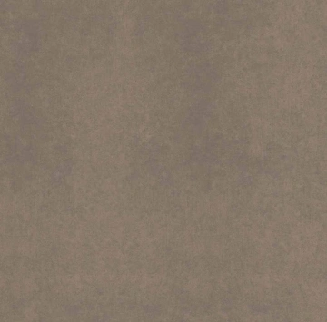 Керамогранит CA04 60x60x10 Непол.Рект. (Керамический гранит)_5