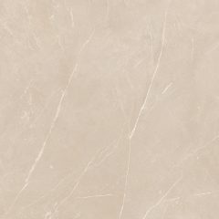 Керамогранит NL01 60x60x10 Полир. (Керамический гранит) #17