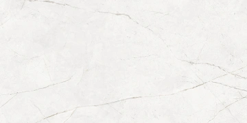 Керамогранит  NL02 60x60x10 Непол.Рект. (Керамический гранит) _6