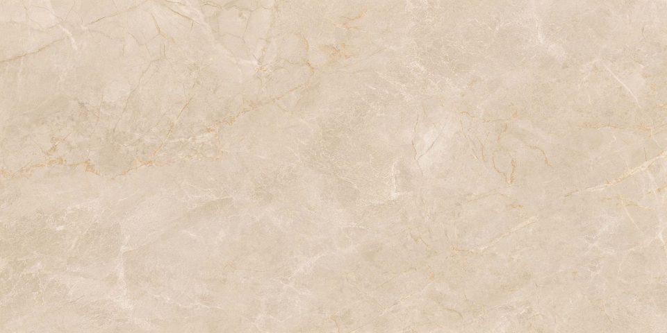 Керамогранит EXM301 60x120x9 Непол.Рект. (Керамический гранит) #4