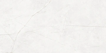 Керамогранит  NL02 60x60x10 Непол.Рект. (Керамический гранит) _5