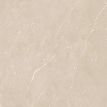 Керамогранит NL01 60x60x9 Полир. (Керамический гранит)_12
