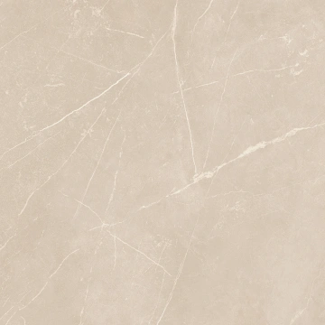 Керамогранит NL01 60x60x9 Полир. (Керамический гранит)_16