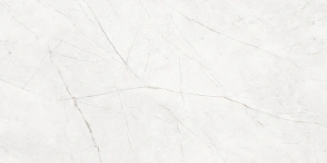 Керамогранит  NL02 60x60x10 Непол.Рект. (Керамический гранит) _8