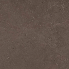 Керамогранит  KW03 19,4x120x10 Структур.Рект. (Керамический гранит) _4