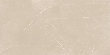 Керамогранит  RM01 60x60x10 Непол.Рект. (Керамический гранит) _1