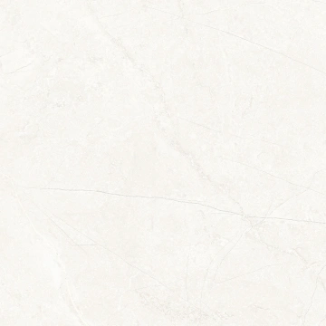 Керамогранит MA00 60x60x10 Непол.Рект. (Керамический гранит)_15