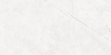 Керамогранит NL00 60x120x9 Непол.Рект. (Керамический гранит)_5