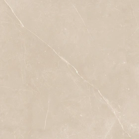 Керамогранит  NL00 60x60x9 Полир. (Керамический гранит) _13