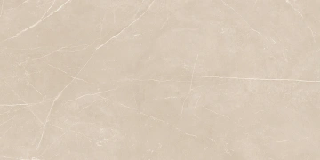 Керамогранит  NL02 60x60x10 Полир. (Керамический гранит) _4