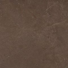 Керамогранит GO03 60x60x9 Непол.Рект. (Керамический гранит) #4