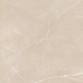 Керамогранит  NL00 60x60x9 Полир. (Керамический гранит) _18
