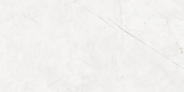 Керамогранит  NL02 60x60x10 Непол.Рект. (Керамический гранит) _4