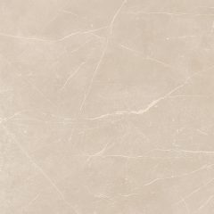 Керамогранит NL01 60x60x10 Непол.Рект. (Керамический гранит)