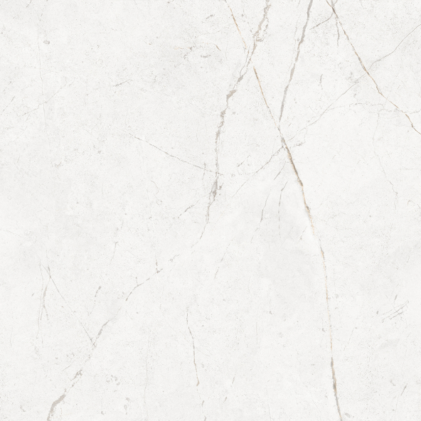 Керамогранит NL00 60x60x9 Непол.Рект. (Керамический гранит)-14