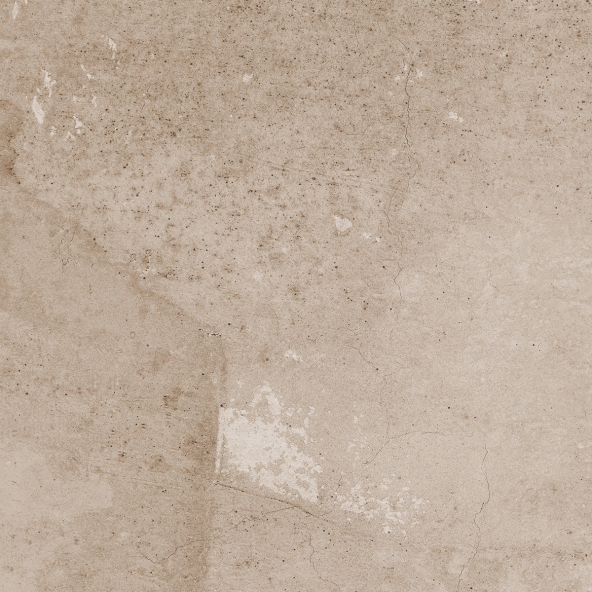 Керамогранит EE02 40,5x40,5х8 Непол. (Керамический гранит) (43,296 м2)-11