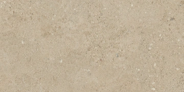 Керамогранит NP02 30,6x60,9x8 Непол. (Керамический гранит)_7
