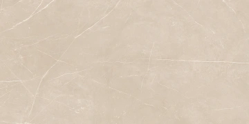 Керамогранит NL01 60x120x10 Непол.Рект. (Керамический гранит)_4
