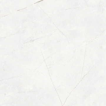 Керамогранит NL00 60x60x9 Полир. (Керамический гранит)_3