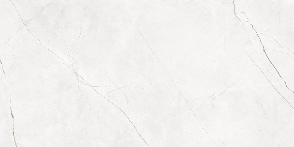 Керамогранит NL00 60x120x9 Полир. (Керамический гранит) #11
