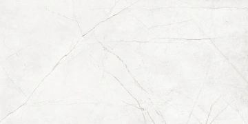 Керамогранит NL00 60x120x10 Полир. (Керамический гранит)_2