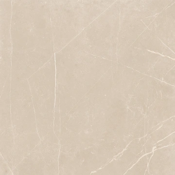 Керамогранит NL01 60x60x9 Полир. (Керамический гранит)_3