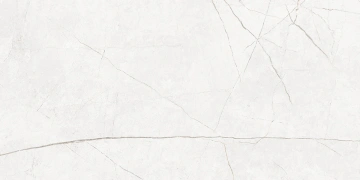Керамогранит NL00 60x120x9 Полир. (Керамический гранит)_4