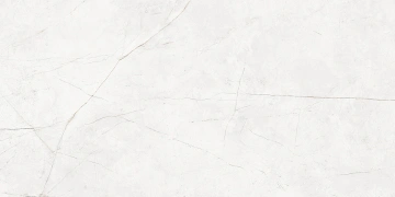 Керамогранит NL00 60x120x10 Полир. (Керамический гранит)_5