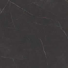 Керамогранит  RW10 60x60x9 Непол.Рект. (Керамический гранит) _5