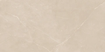 Керамогранит  RM01 60x60x10 Непол.Рект. (Керамический гранит) _6