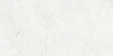 Керамогранит  NL02 60x60x10 Непол.Рект. (Керамический гранит) _1
