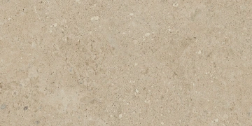 Керамогранит NP02 30,6x60,9x8 Непол. (Керамический гранит)_9