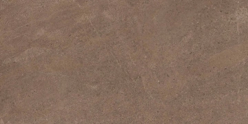 GO02 60x120x10 Непол.Рект. (Керамический гранит)_3