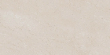 Керамогранит  NL03 60x60x9 Непол.Рект. (Керамический гранит) _6
