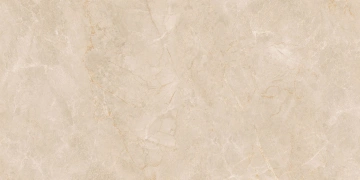 Керамогранит EXM301 60x120x9 Непол.Рект. (Керамический гранит)_5