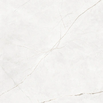 Керамогранит NL00 60x60x10 Непол.Рект. (Керамический гранит)_17