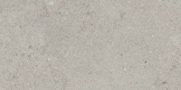 Керамогранит NP01 30,6x60,9x8 Непол. (Керамический гранит)_8