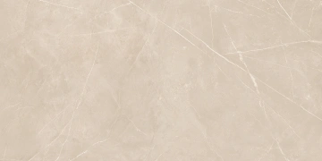 Керамогранит NL01 60x120x9 Непол.Рект. (Керамический гранит)_4