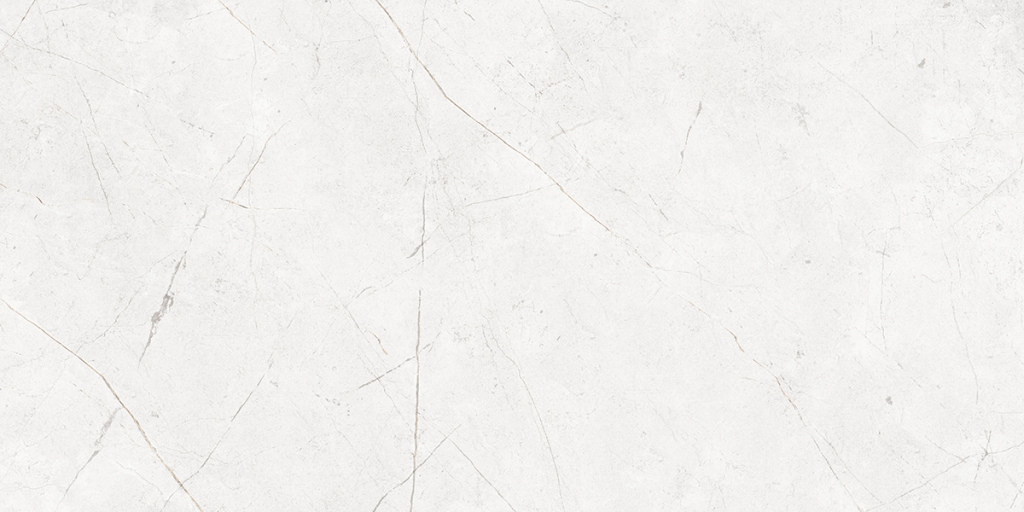 Керамогранит NL00 60x120x9 Полир. (Керамический гранит)-3