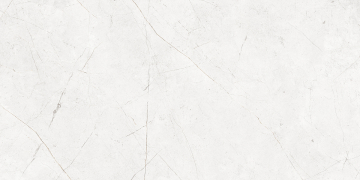 Керамогранит NL00 60x120x9 Полир. (Керамический гранит)-3